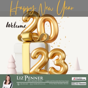 Langley Realtor! Happy New Year from Liz Penner, your Langely Realtor