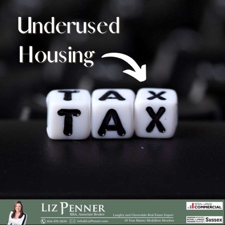 Underused Housing Tax