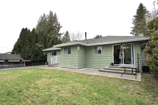 Rear exterior, patio and lawn at 20320 Ditton Street