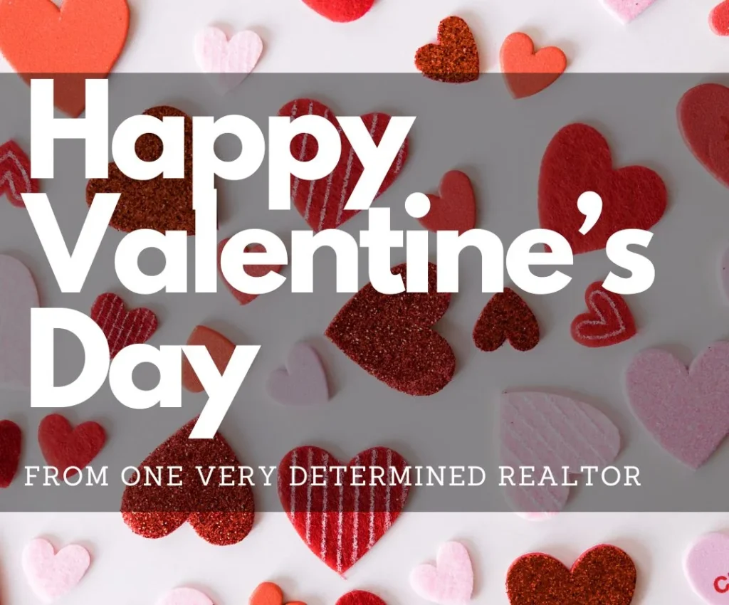Happy Valentines Day from One Very Determined Realtor by Liz Penner
